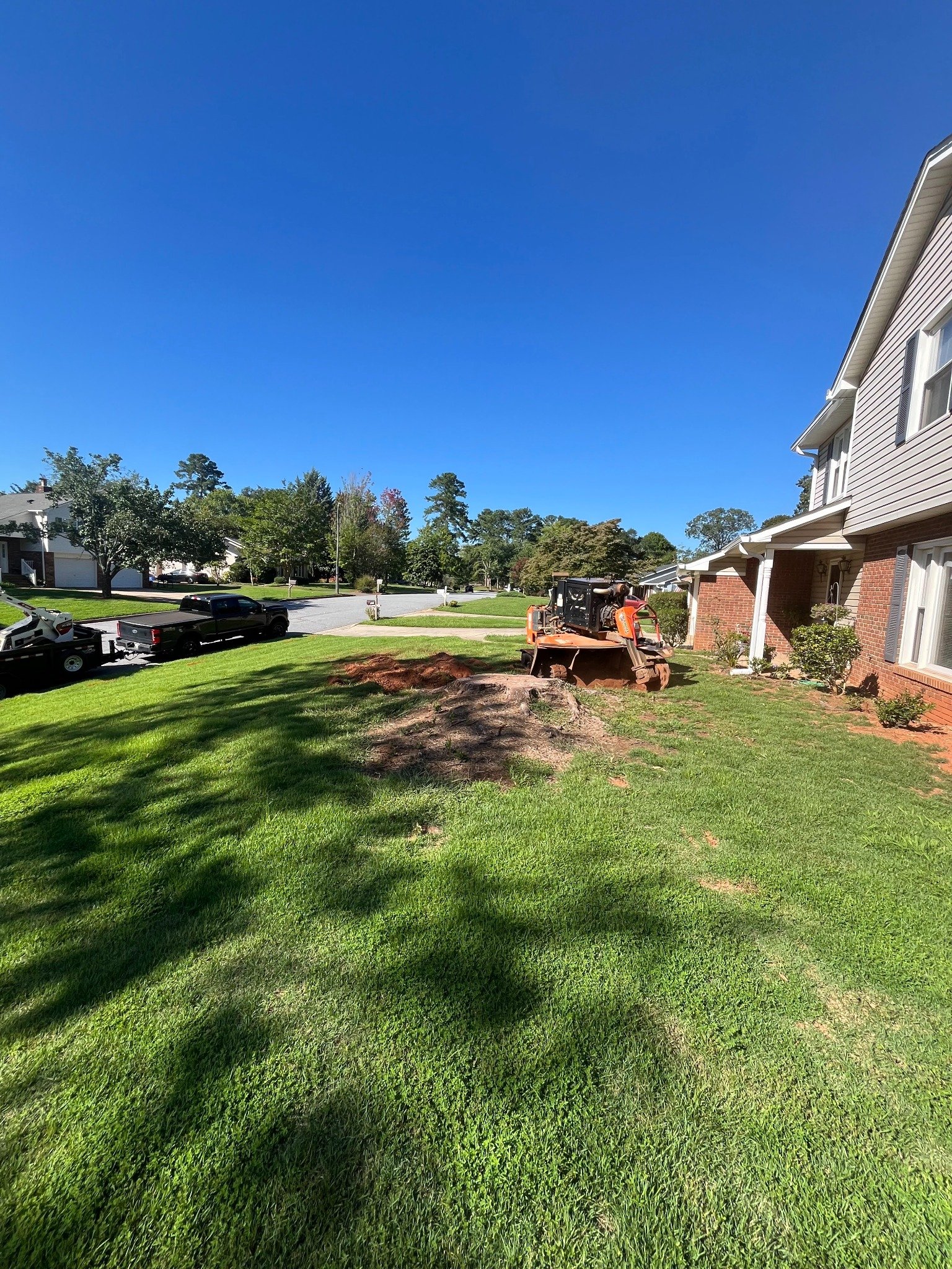 Before stump grinding in Boiling Springs SC