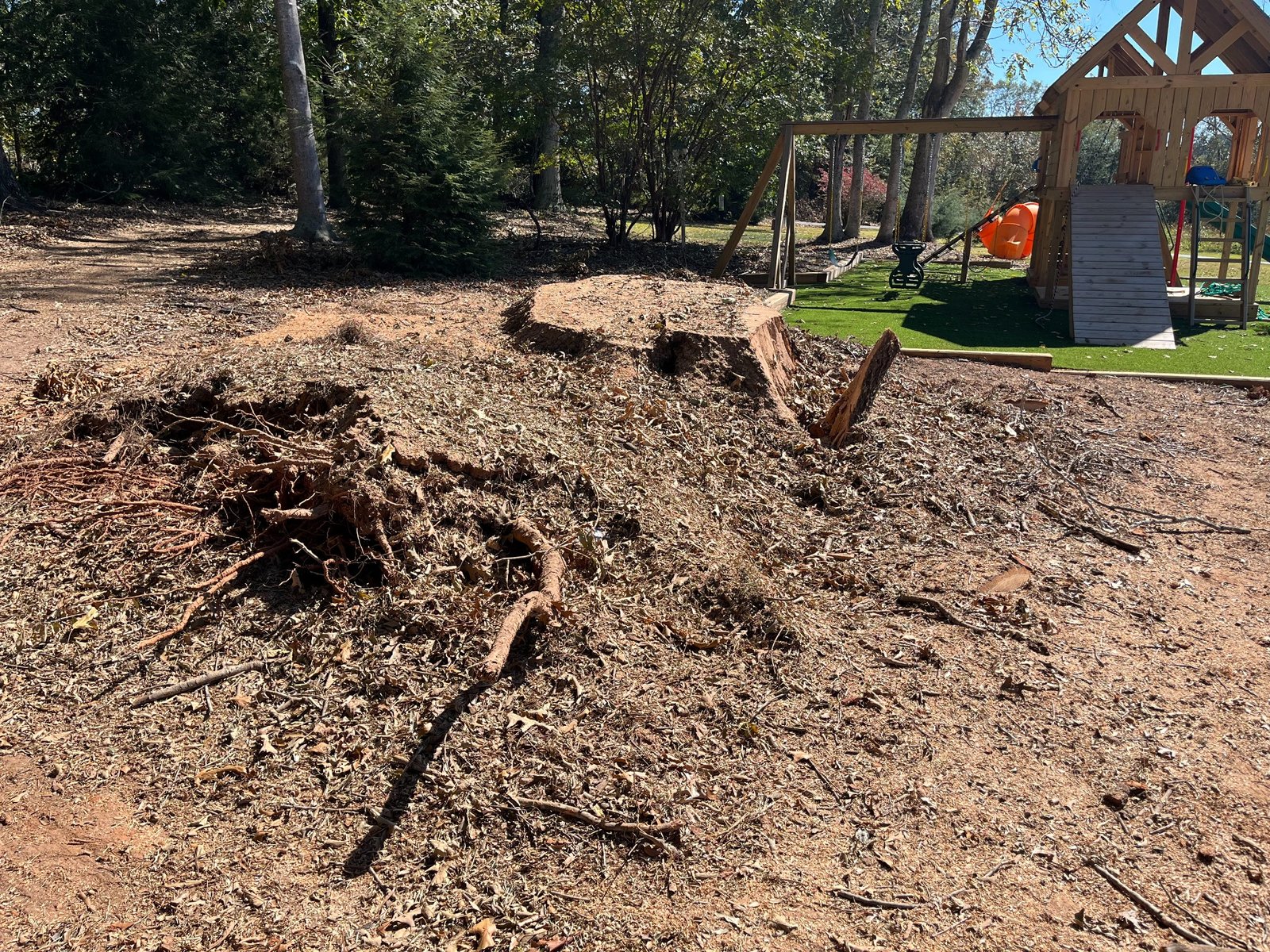 Before stump grinding in Duncan SC