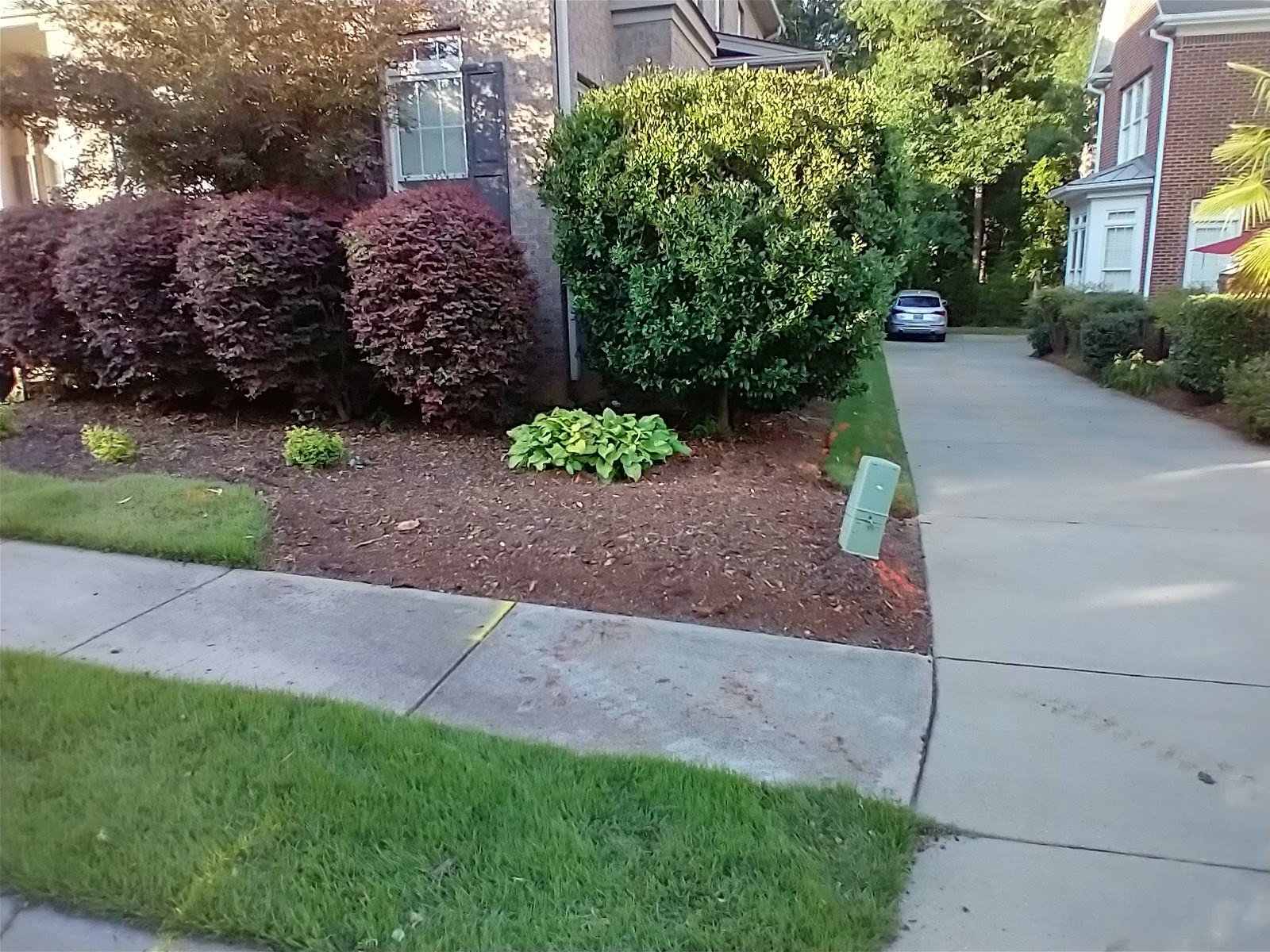After stump grinding in Five Forks SC