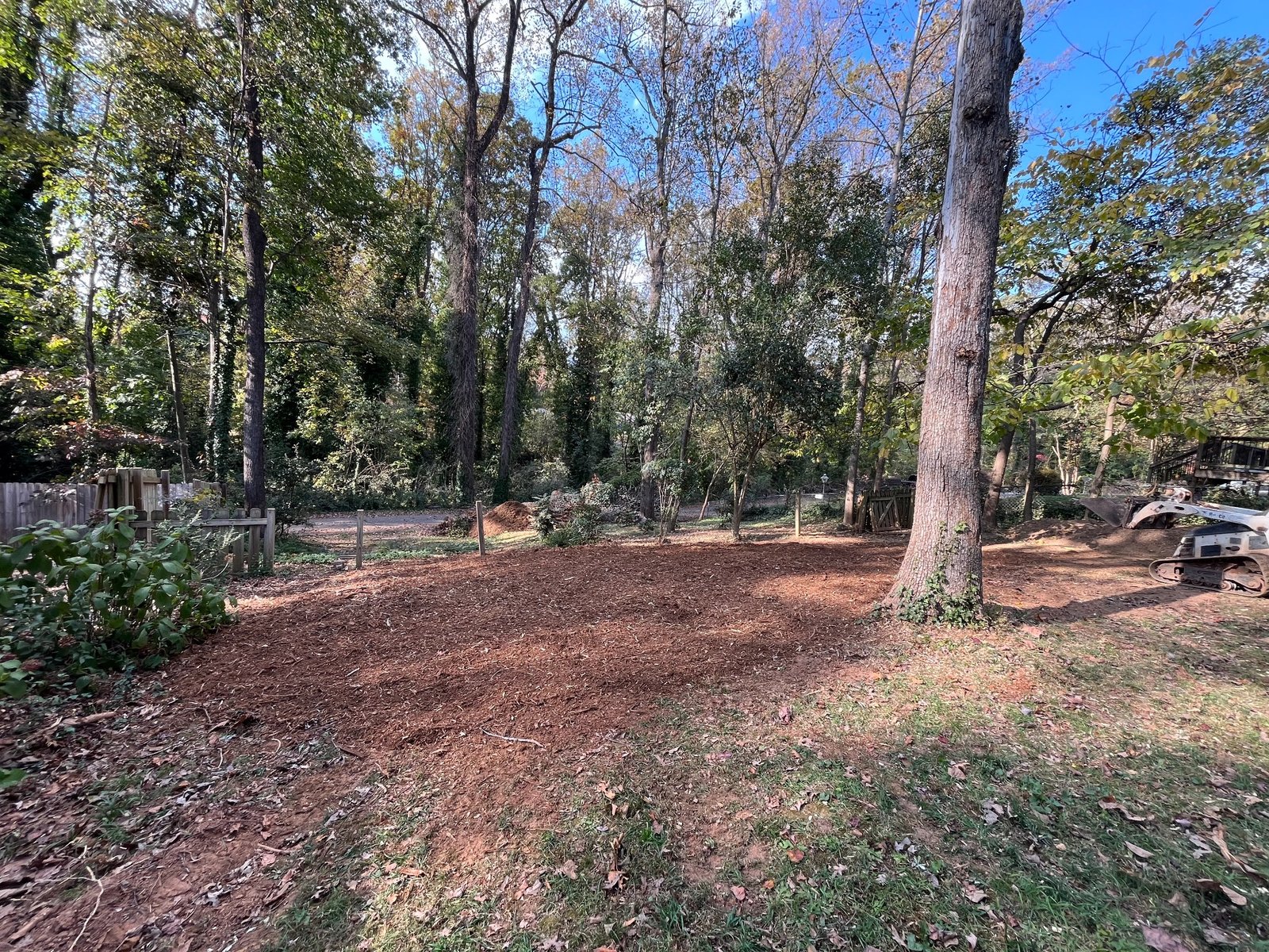 After stump grinding project 13