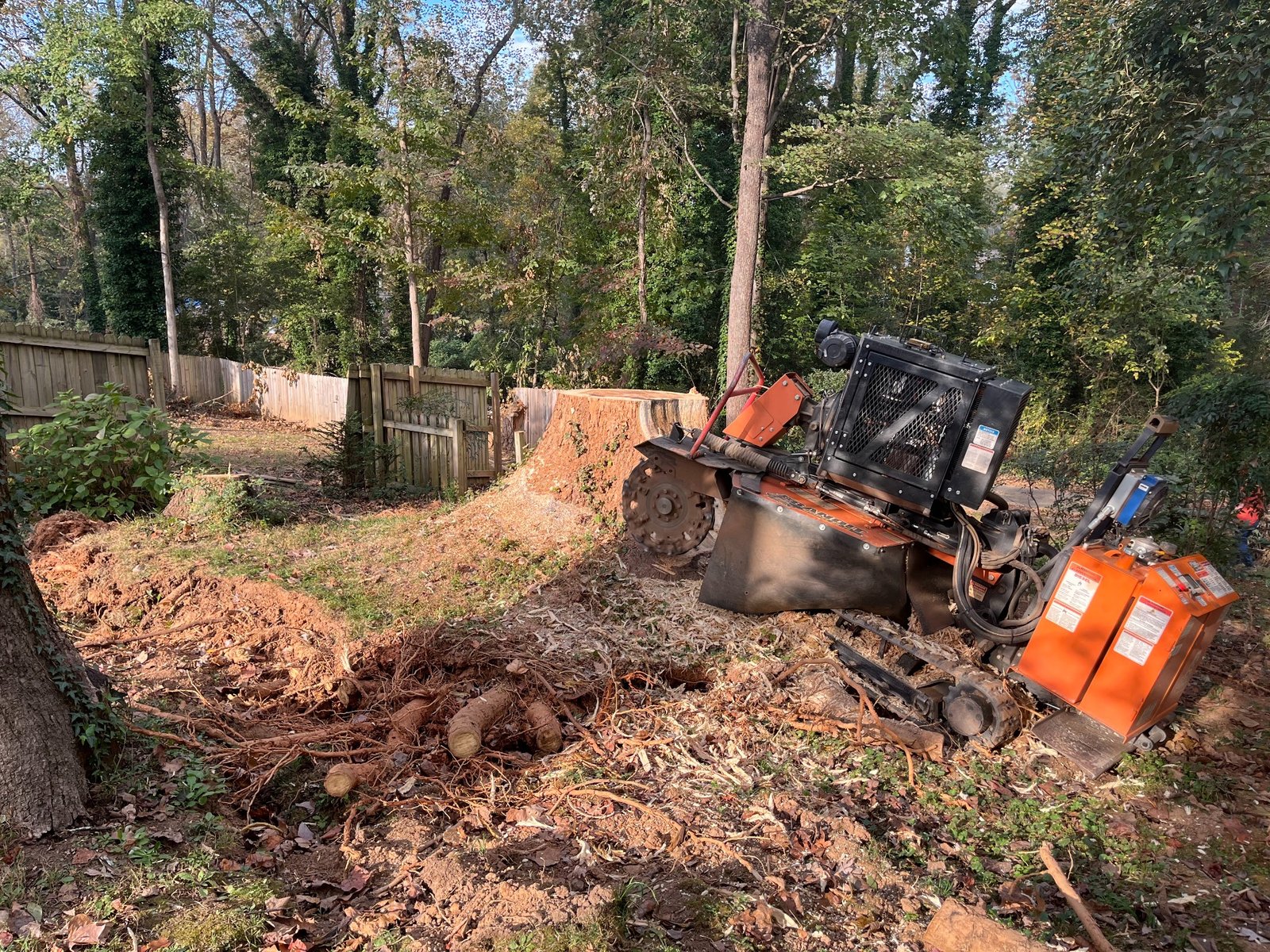 Before stump grinding project 13