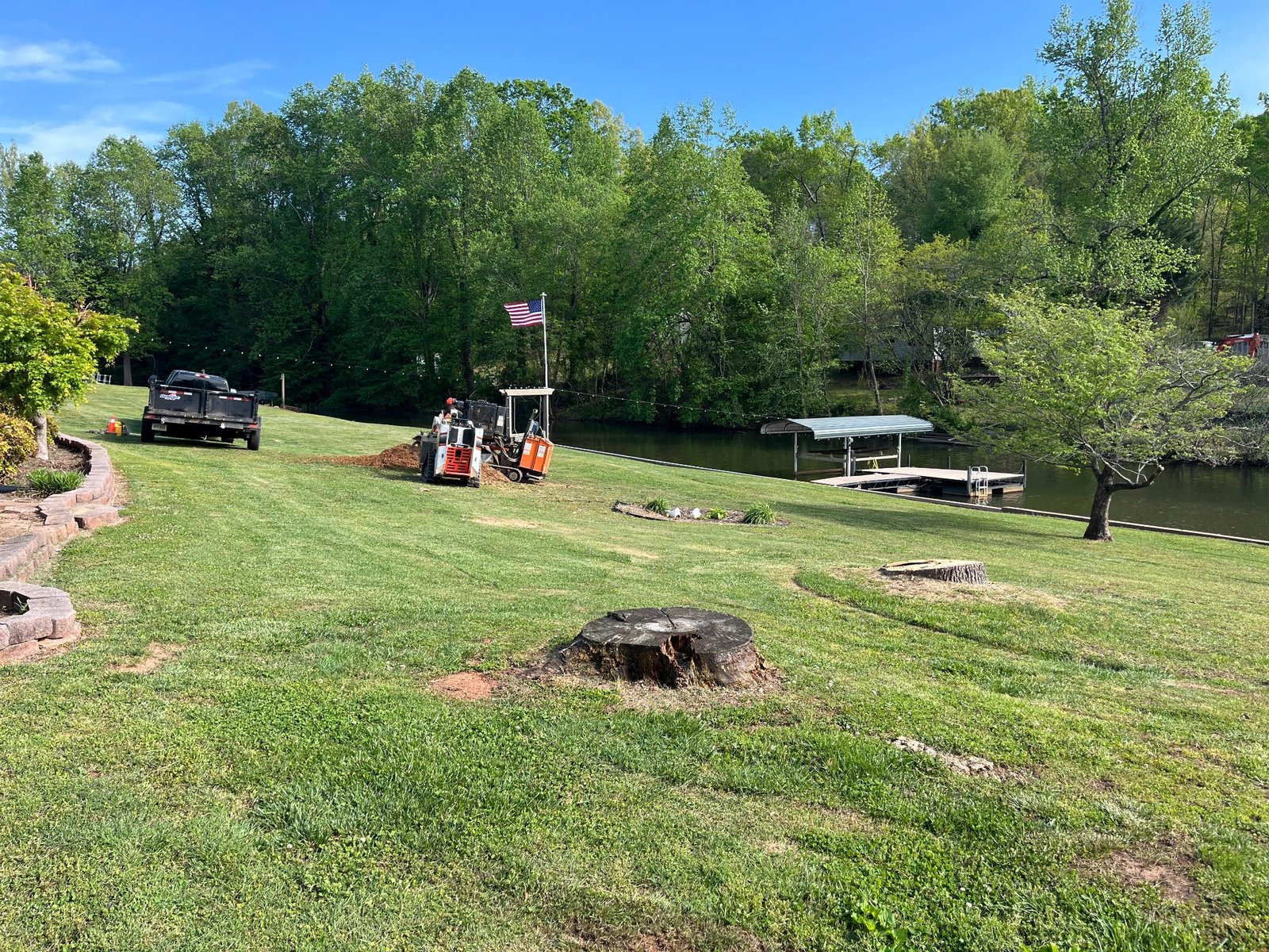 Before stump grinding project 14