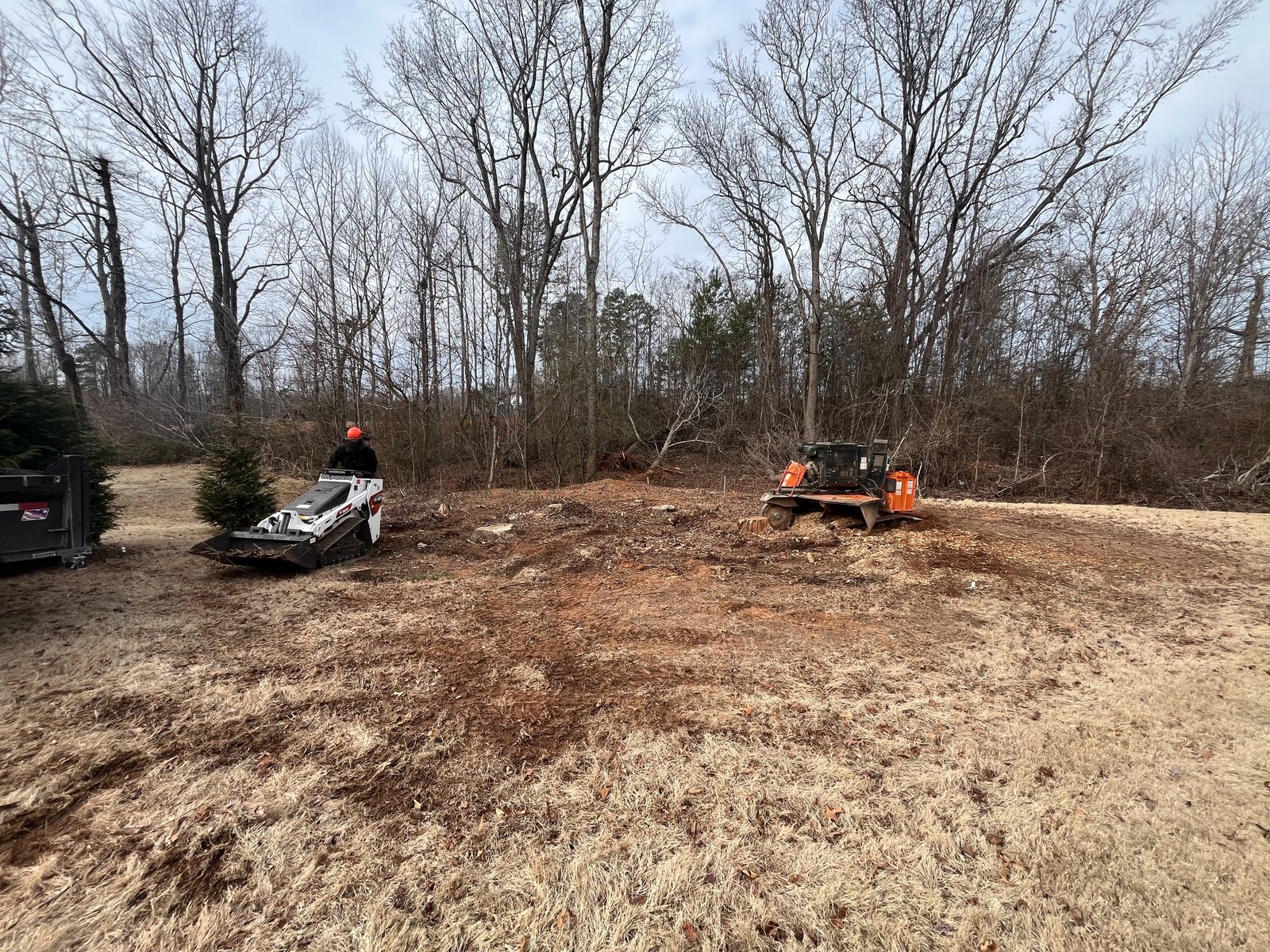 Before stump grinding project 16