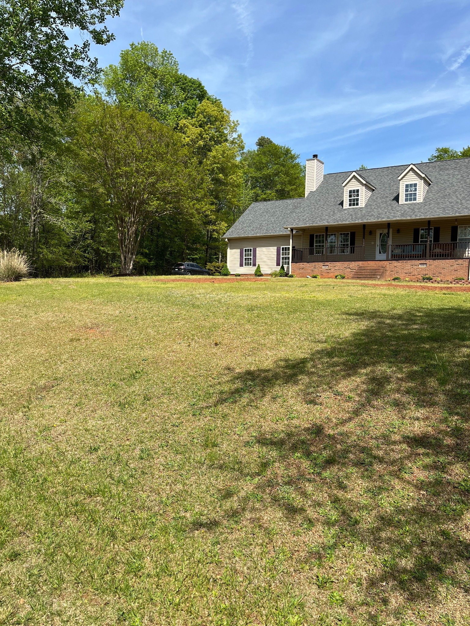 After stump grinding project 3