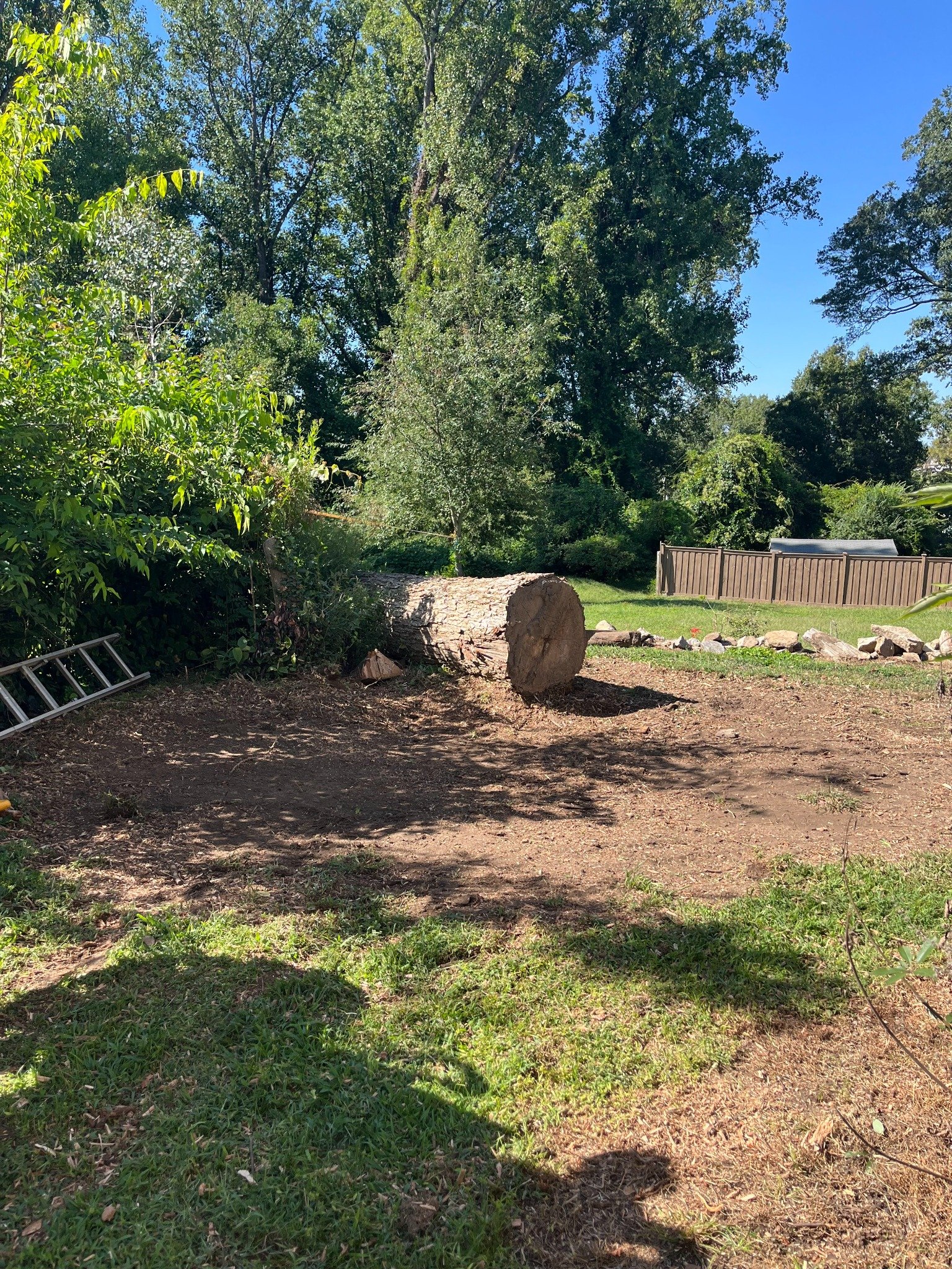 After stump grinding project 5