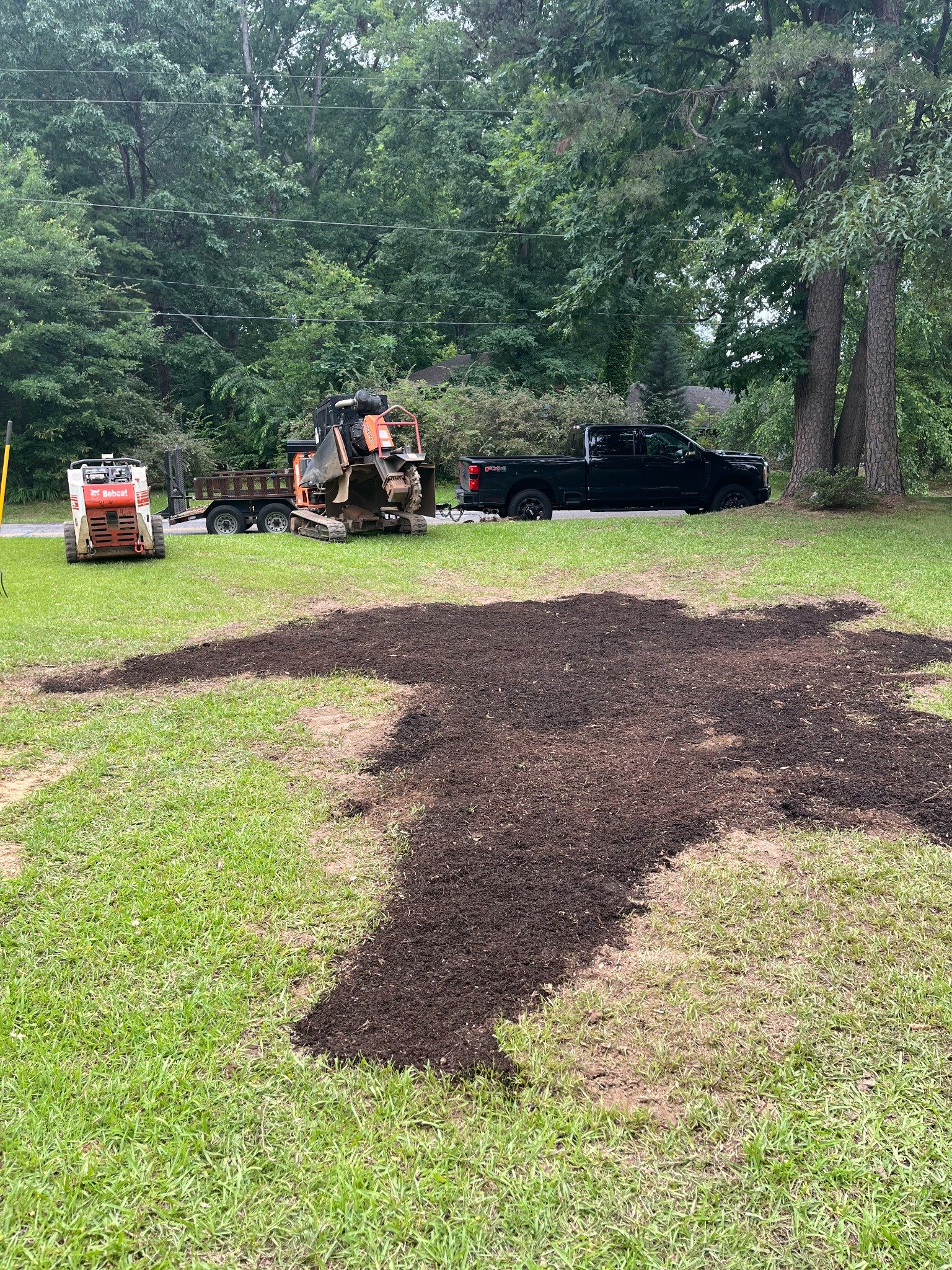 After stump grinding project 9