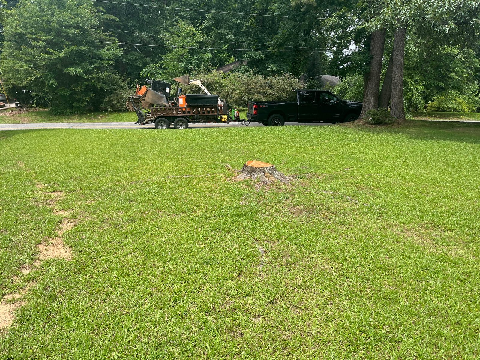 Before stump grinding project 9