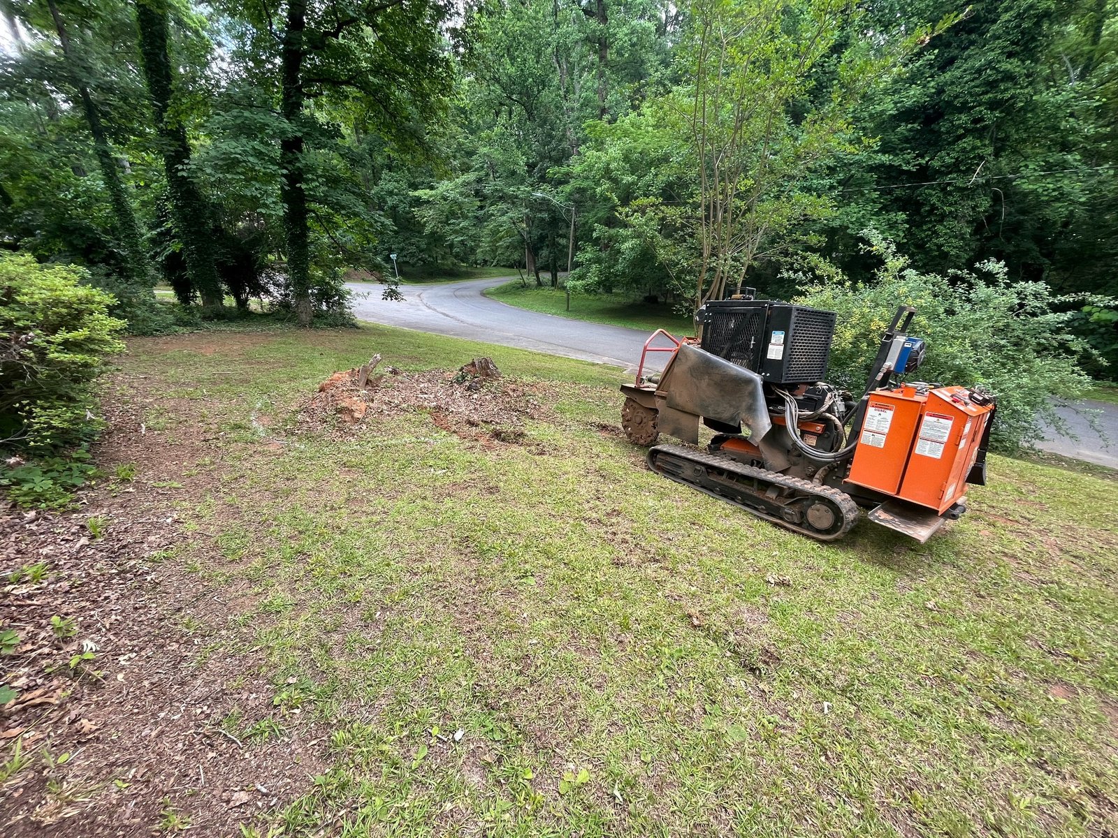 Before stump grinding in Lyman SC