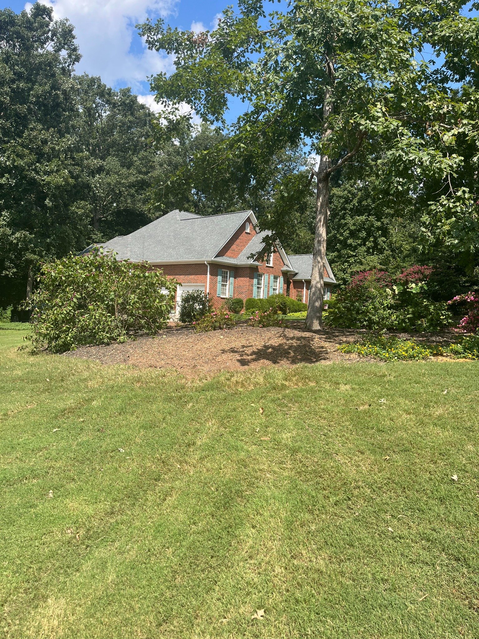 After stump grinding in Simpsonville SC